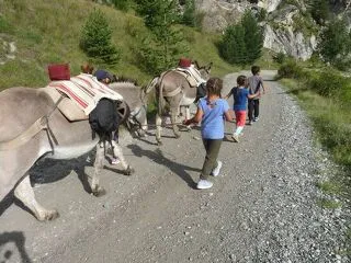 © Mini-course for children 6-12 years old with donkeys - Anes et Randonnées