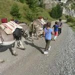 © Mini-course for children 6-12 years old with donkeys - Anes et Randonnées