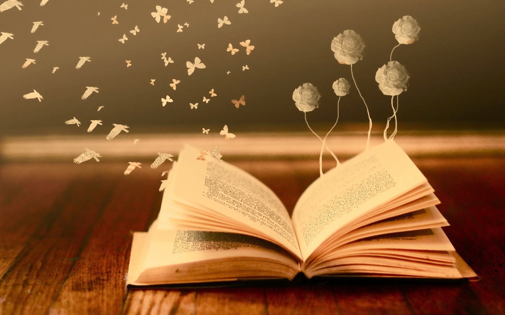 © Bibliothèque à Aussois - livrelecteurs