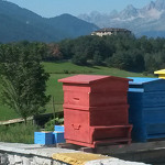 © Miellerie Detienne à Aussois - OT AUSSOIS