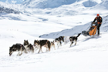 © aussois-husky-adventure-chiens-de-traineau - Husky Adventure