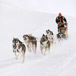 © aussois-husky-adventure-chiens-de-traineau - Husky Adventure