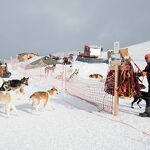 © aussois-husky-adventure-chiens-de-traineau - Husky Adventure