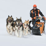 © aussois-husky-adventure-chiens-de-traineau - Husky Adventure