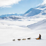 © aussois-husky-adventure-chiens-de-traineau - Husky Adventure