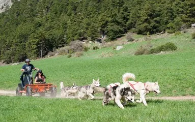 aussois-husky-adventure-cani-kart - Husky Adventure
