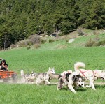 © aussois-husky-adventure-cani-kart - Husky Adventure