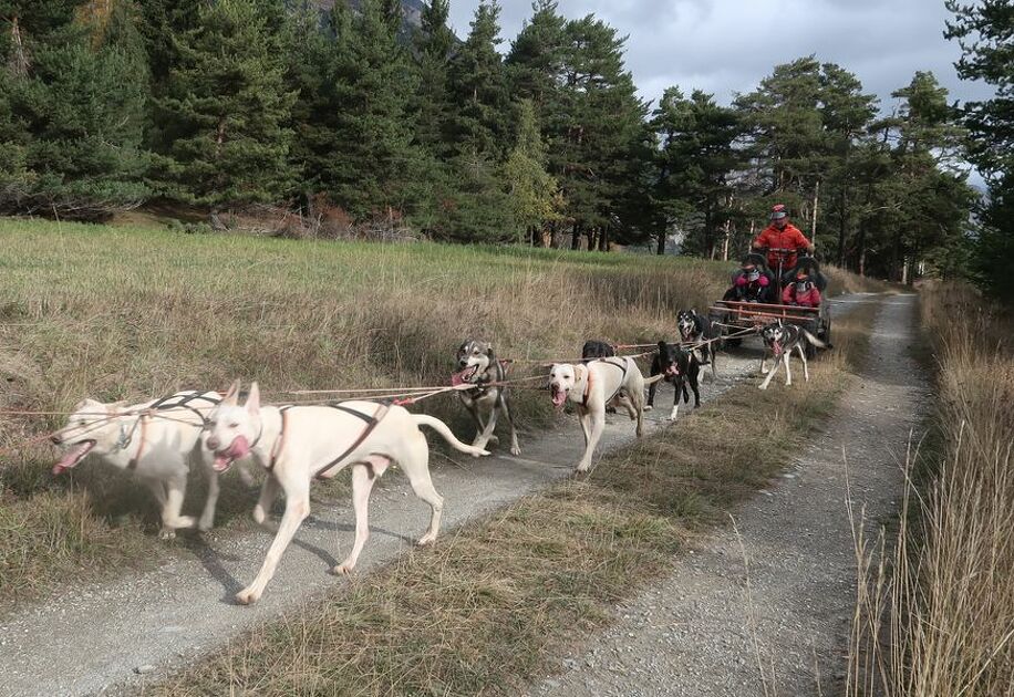 © aussois-bapteme-cani-kart - Husky Adventure