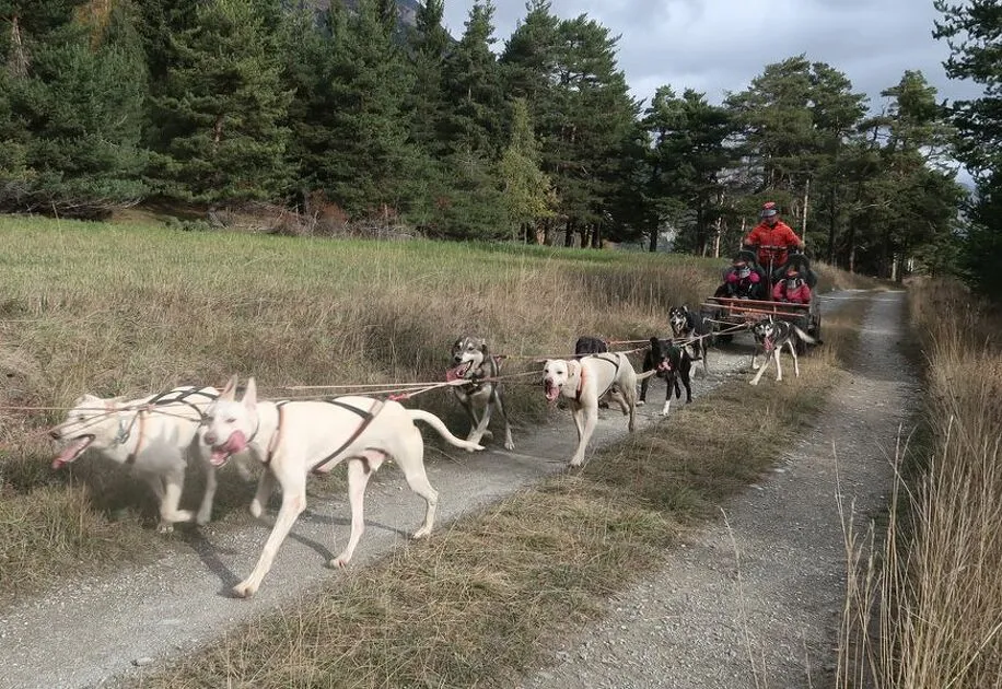 © Husky Adventure dog karting in Aussois - Husky Adventure