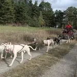 © Husky Adventure dog karting in Aussois - Husky Adventure