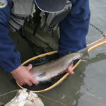 River fishing at Aussois - OT Aussois