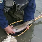 © Pêche en rivière à Aussois - OT Aussois