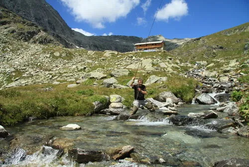Fishing in lakes and rivers