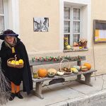 © La sorcière devant le musée pour exposition curcubitacés - Caroline Menon