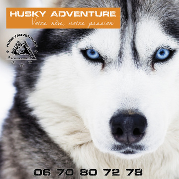 © Chien de traîneau - Husky Adventure
