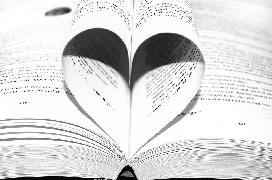 © Public writer - PublicDomainPictures from Pixabay