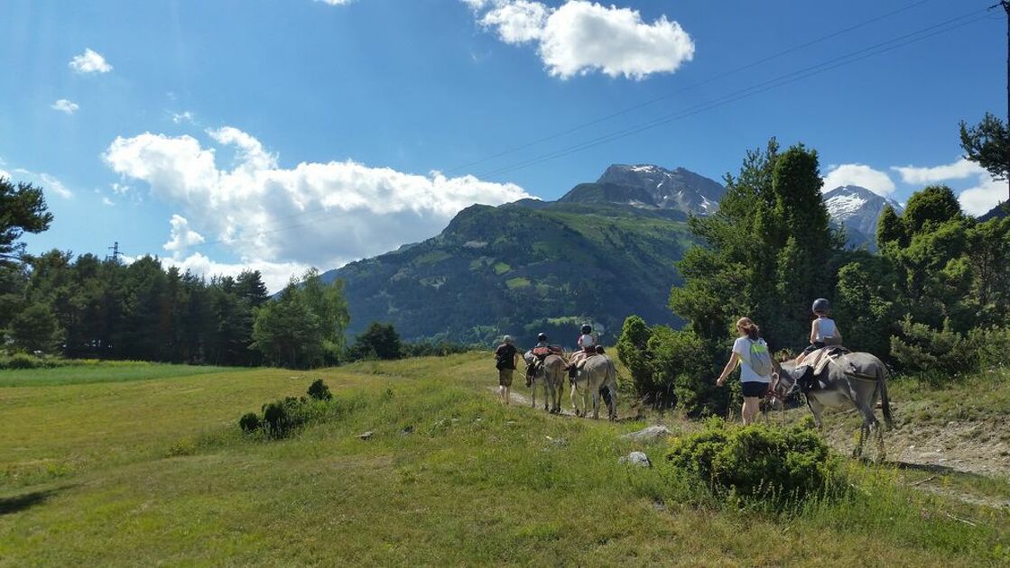 © Anes et Randonnées à Aussois - Anes et Randonnées