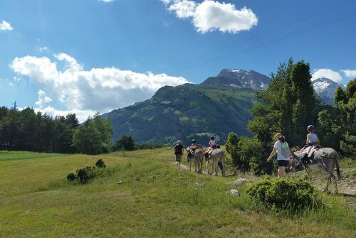 Rando-rencontre autour de l'âne