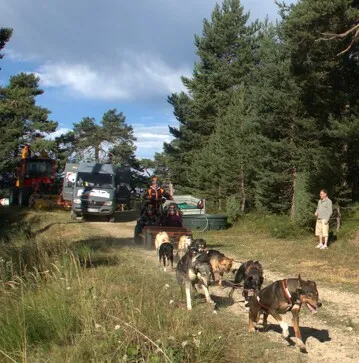 © Kart à chiens avec Husky Adventure en Haute Maurienne Vanoise - Husky Adventure