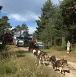 © Kart à chiens avec Husky Adventure en Haute Maurienne Vanoise - Husky Adventure