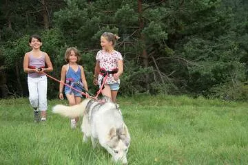 © Randonnée avec les chiens de traineaux Husky Adventure - MO.Arc en ciel Photos-OT AUSSOIS