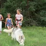© Randonnée avec les chiens de traineaux Husky Adventure - MO.Arc en ciel Photos-OT AUSSOIS
