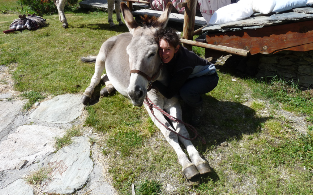 © Donkeys and trekking at Aussois with Nathalie - Anes et randonnées