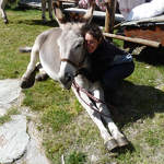 © Donkeys and trekking at Aussois with Nathalie - Anes et randonnées