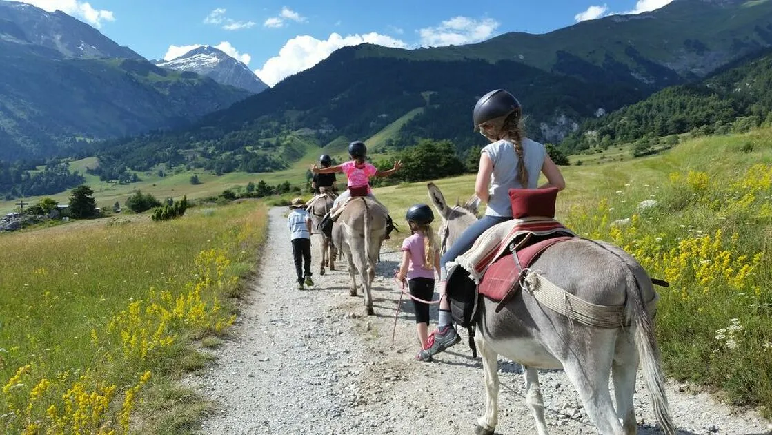 © Mini course for children with Ânes et Randonnées in Aussois - Ânes et Randonnées Aussois