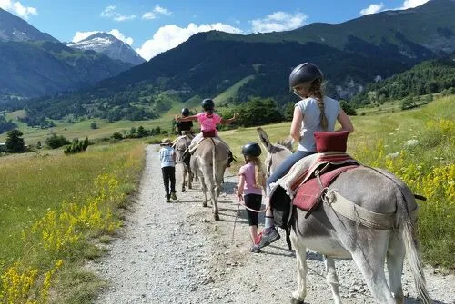 Mini-course for children 6-12 years old with donkeys