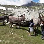 © Mini-course for children 6-12 years old with donkeys - Ânes et Randonnées à Aussois