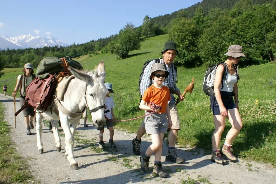 © Hiking with donkeys in Aussois - Ânes et Randonnées à Aussois