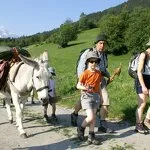 © Hiking with donkeys in Aussois - Ânes et Randonnées à Aussois