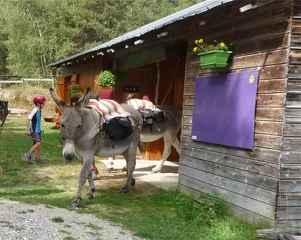 © Location d'ânes avec Anes et Randonnées à Aussois - Ânes et randonnées