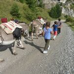 Summer hiking at Aussois with donkeys - Anes et Randonnées