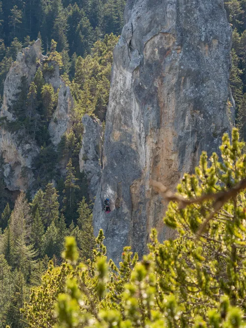 The Monolith of Sardières