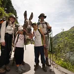 Half-day donkey trekking meeting - Nathalie Choiseau