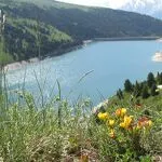 © Aussois - Vanoise - lac de Plan d'Amont - Bénédicte Guy