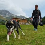 © Cani-rando à Aussois - Husky Adventure