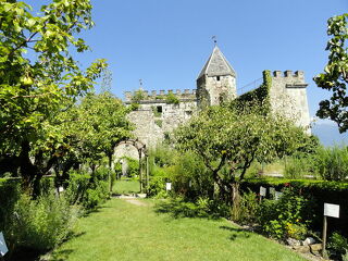 © Jardin du château de Miolans - DD - www.fondation-facim.fr
