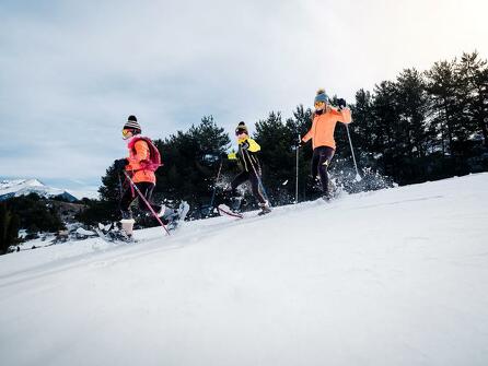 Snowshoeing in uncharted landscapes