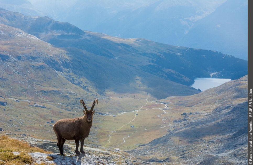 © Le Col d'Aussois - PNV - M. BEURIER