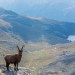 © Le Col d'Aussois - PNV - M. BEURIER