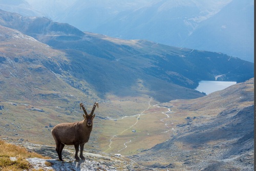 Rando pédestre au col d'Aussois