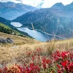 Trail de la randolière - OTHMV - B. THOMAS