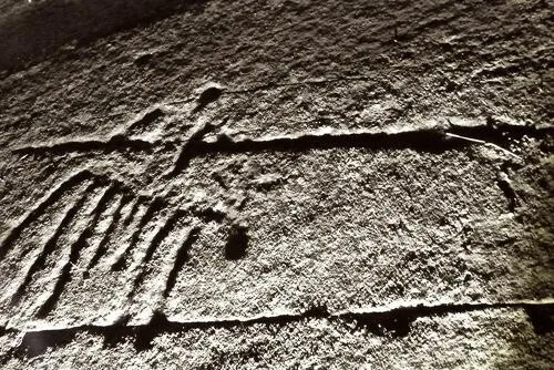 La nuit des temps – Randonnée pédestre accompagnée