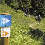 © Enduro MTB: Evita Carnéa - cchmv