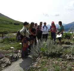 © Sortie ethnobotanique à Aussois - Marion Lett