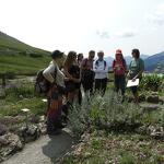 © Sortie ethnobotanique à Aussois - Marion Lett