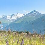© Champs de fleurs au départ de Aussois Plan de la Croix - OTHMV - R. Salles